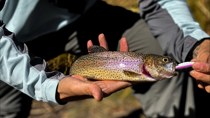 Doane Pond Trout Fishing