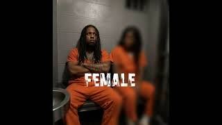 FTQUAY - FEMALE (PROD. BABYONTHEBEAT)