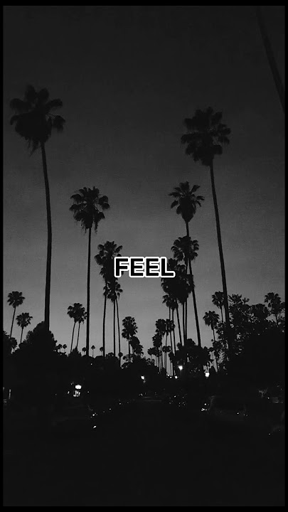 I don't wanna die but I don't wanna live like this #asthetic #lyrics