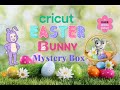 NEW Cricut Easter Bunny Mystery Box w/ RARE Cutie