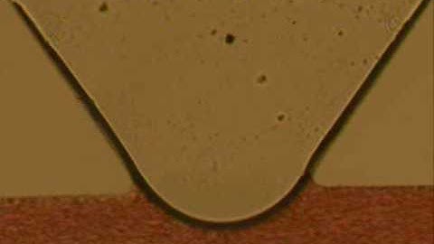 Visualisation of Human Whole Blood Pumping