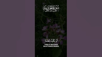 #القارئ #حاتم_المالكي #الحديد #سورة_الحديد | اعلموا أنما الحياة الدنيا لعب ولهو وزينة وتفاخر بينكم