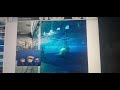 The Aquarium | S.W.A.K. World