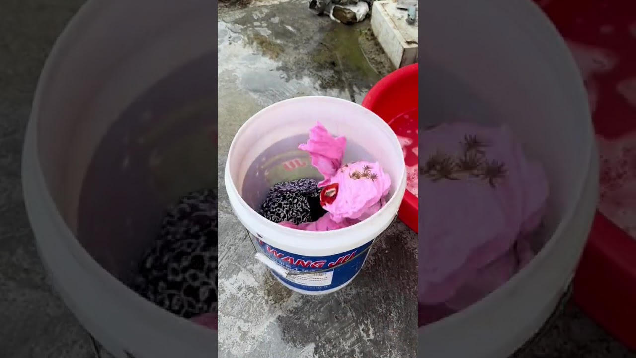 我最怕的就是孩子生病了，小宝这两天瘦了好多，吃饭也没胃口，不知道怎么办了#记录真实生活 #宝妈#回娘家