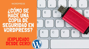 ¿Cómo se hace una copia de seguridad en Wordpress? ¡Explicado desde cero! | Wordpress backup