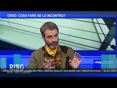 L'ORSO CATTURATO? LO ZOOLOGO 'PER L'ANIMALE MEGLIO L'UCCISIONE CHE L'ERGASTOLO IN GA... | 18/04/2023