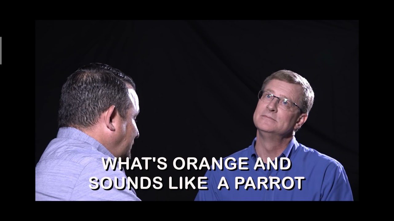 Whats Orange and Sounds like Parrot DAD JOKE 3 YouTube