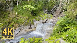 Mountain Stream Nature Walk 4K (With Ambient Nature Sounds And Music)