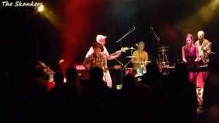 The Skankers Reggae Factory  -   Rocksteady   (Alton Ellis  cover)