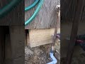 Fixing a leaky hose bib