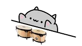 bongo cats