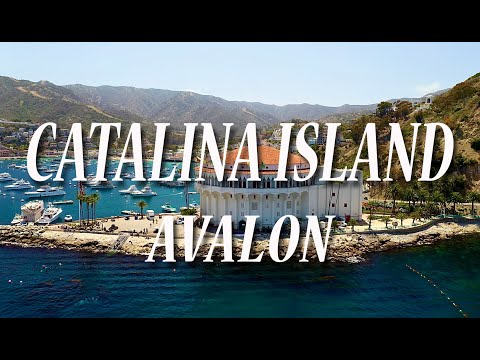 Video: 12 Fakta Tentang Catalina Island Yang Akan Mengejutkan Anda - Matador Network