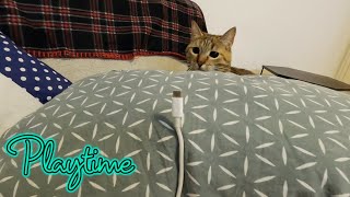 Cat Nala Vrs cable ?