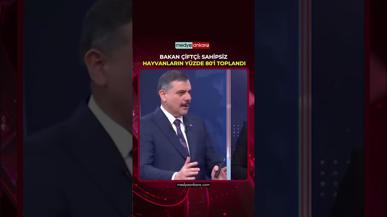 Bakan Çiftçi: Sahipsiz Hayvanların Yüzde 80'i Toplandı.