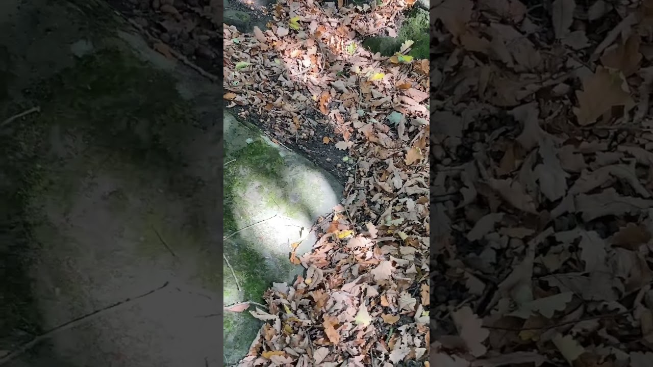 James Corden in my opinion is the most unfunny comedian going. YouTube