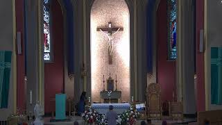 Eighth Friday in Ordinary Time Noon Mass