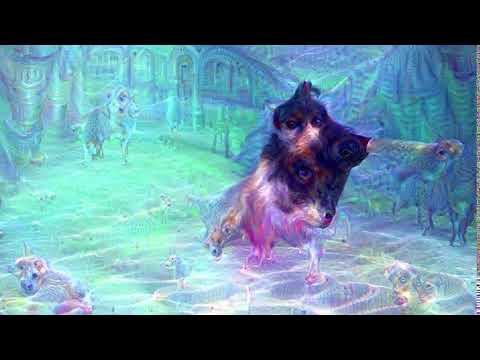 Python Deep dream visuals