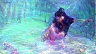 Python Deep dream visuals