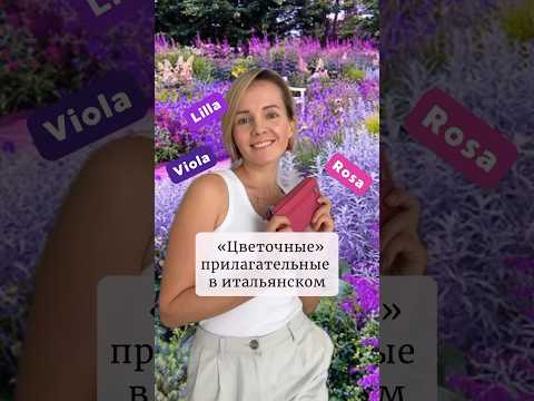 Розовый цвет по-итальянски 🩷 #итальянскийонлайн #урокиитальянского #итальянскийдляначинающих #short