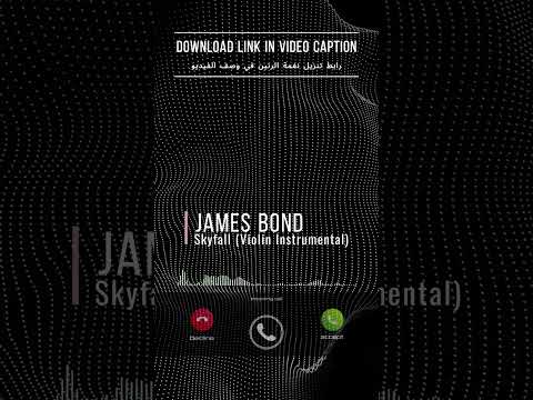 James Bond Skyfall Violin Instrumental