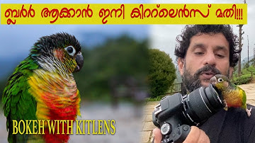 Bokeh effect with kit-lens, കിറ്റ്-ലെൻസ് കൊണ്ട് ബാക്ഗ്രൗണ്ട്  ബ്ലർ ചെയ്യാം