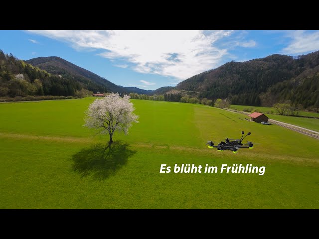 Es blüht im Frühling festgehalten mit der Nazgul ECO DC5 O4