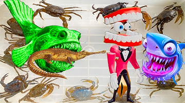 Kem Ốc Chanel chở con rùa ra ngõ gặp con cá sở thú, cá mập Baby Shark cứu cá sấu hỏa tiễn, con cua.