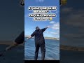 expect the unexpected ! #prank #fails #shorts