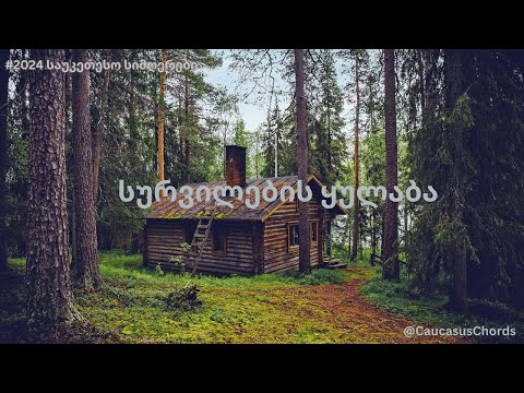 სურვილების ყულაბა სიმღერა სახლზე სიყვარულსა და ნატვრებზე 2024 ჰიტი