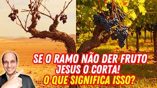 THE REAL MEANING OF CUTTING AND CLEANING IN THE PARABLE OF THE TRUE VINE TOLD BY JESUS!