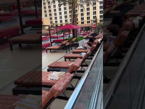 Golden Nugget Pool and Casino