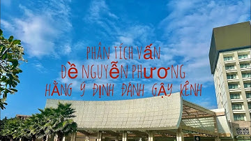 Buông Bỏ | Phân tích vấn đề Nguyễn Phương Hằng ý định đánh gậy kênh