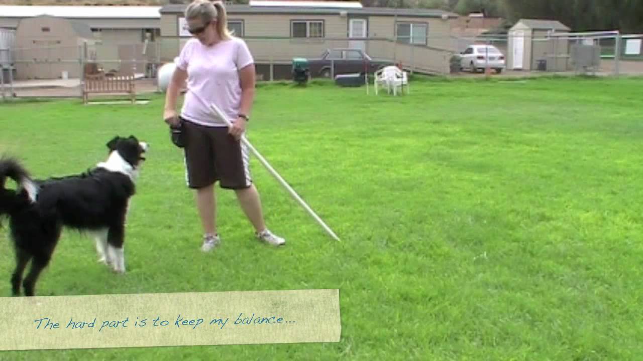 Jump Over the Cane physical education