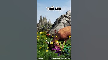 Cuối Tháng 1 dương: 4 tuổi xòe tay đón lộc Trời, của cải vào nhà nhiều không đếm xuể (Phần 1)