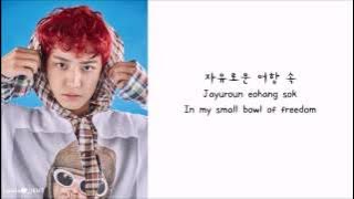 EXO - One and Only (유리어항) (eng sub   romanization   hangul) [HD]