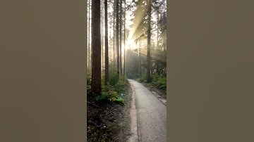 ربنا لا تزغ قلوبنا بعد اذ هديتنا، القارئ عبدالرحمن مسعد