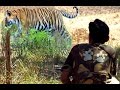 "TIGER"!!!!!!!!! : Surprise Encounter with the "So-called"  Man-eating Tiger..... in the Wild