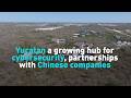 Yucatan a growing hub for cybersecurity, partnerships with Chinese companies