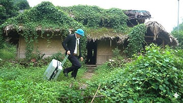 CEO Leaves City Life to Find Peace | Restoring an Abandoned Mossy Wooden House Alone | Trieu Khanh