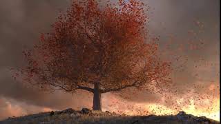 Tree On The Hill
