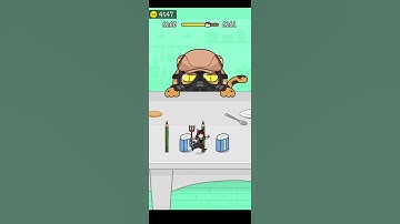 Hide And Seek : Cat 🐈 Escape Game | Level-6260 | Satisfying Gameplay #games #shorts #hideandseek