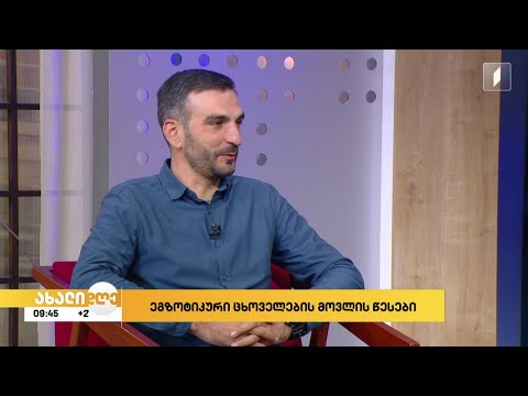 #ახალიდღე რუბრიკა „აკის პარკი“  ეგზოტიკური ცხოველების მოვლა