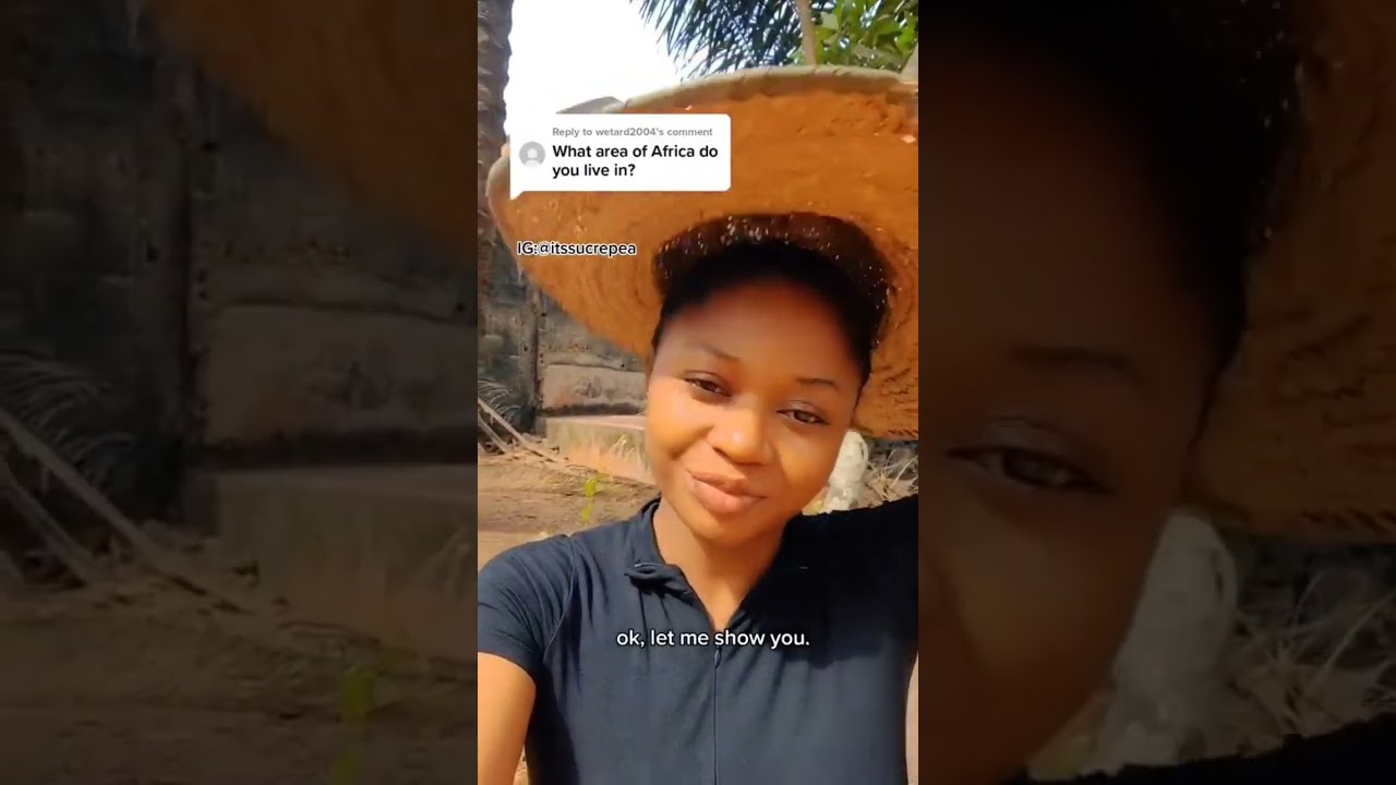 "Africans Live in a jungle" Debunking African stereotypes with sarcasm 