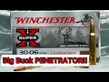 3006 winchester superx 165 grain power point ammo review  ballistics gel test great deer ammo