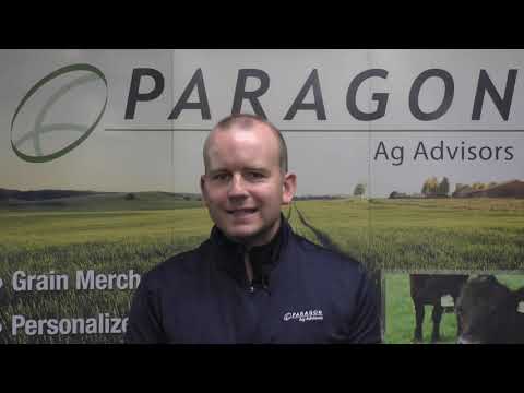 Cash Price = Futures + Basis - video from Paragon Investments