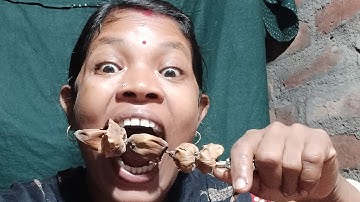 Những Vật Dụng Đa Năng & Tiện ích Trong Đời Sống Hiện Đại #1231