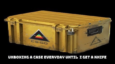 Opening a case everyday until I get a knife Day 8