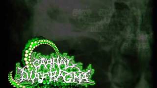 Carnal Diafragma - Flaming Deceased