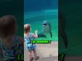 Cette fille et ce dauphin sont les meilleurs amis du monde 