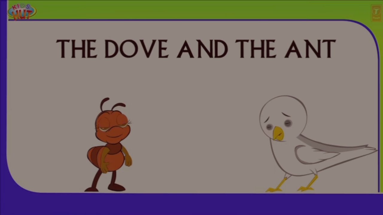 the-dove-and-the-ant-extensive-listening-task-youtube